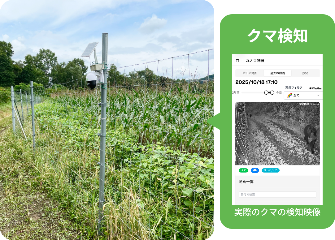 設置現場風景/クマの検知映像