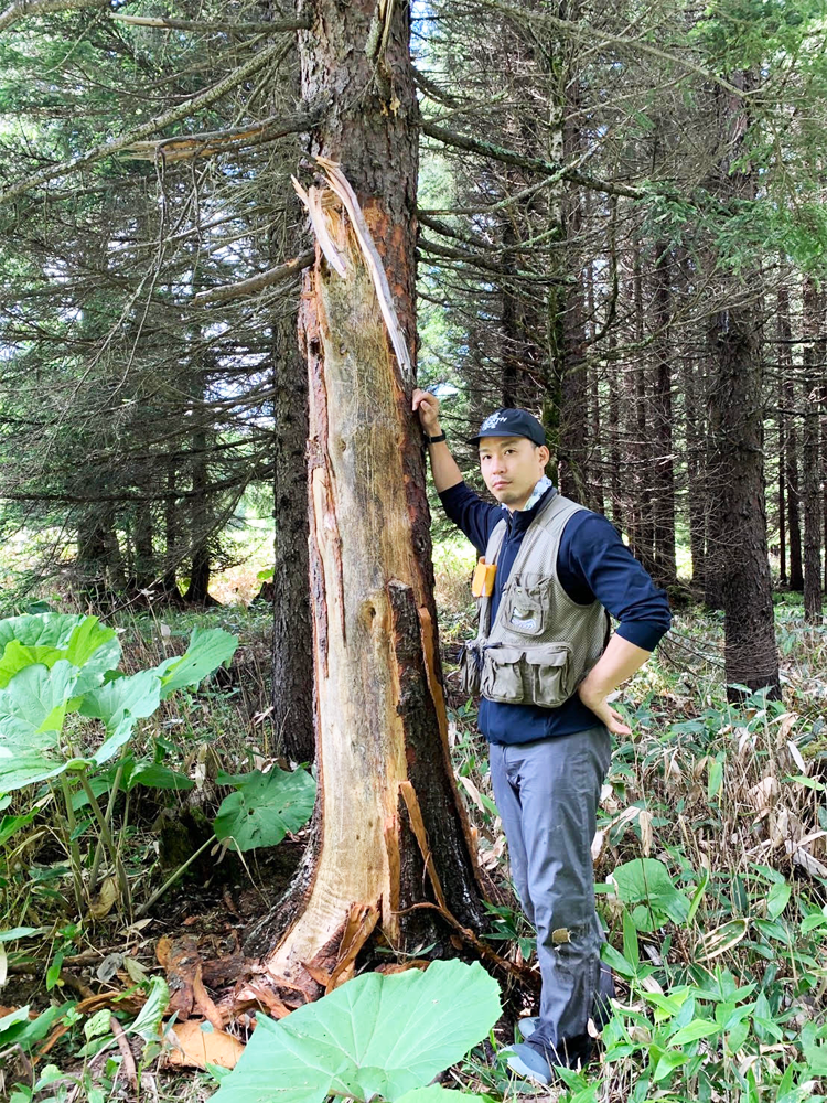 伊藤氏とクマの爪痕
