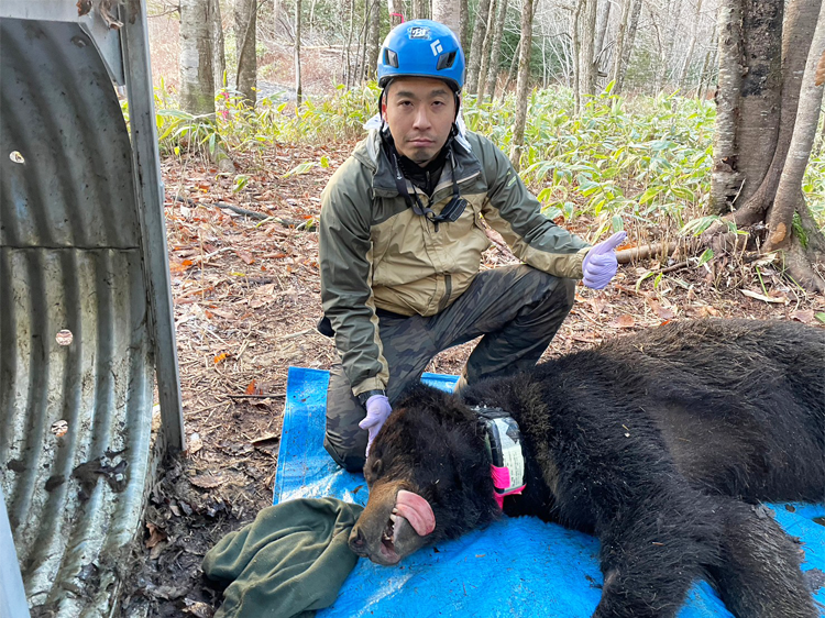 大型哺乳類の野生動物中心に調査・研究
